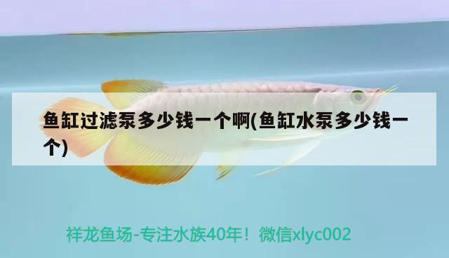 魚缸過濾泵多少錢一個啊(魚缸水泵多少錢一個)