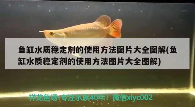 魚缸水質(zhì)穩(wěn)定劑的使用方法圖片大全圖解(魚缸水質(zhì)穩(wěn)定劑的使用方法圖片大全圖解)