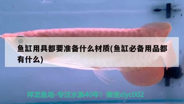 魚缸用具都要準(zhǔn)備什么材質(zhì)(魚缸必備用品都有什么) 泰國(guó)雪鯽魚 第2張