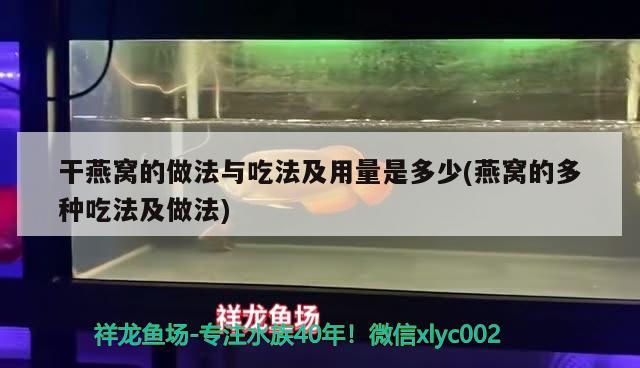 干燕窩的做法與吃法及用量是多少(燕窩的多種吃法及做法)