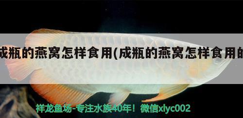 成瓶的燕窩怎樣食用(成瓶的燕窩怎樣食用的)