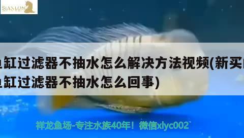 魚(yú)缸過(guò)濾器不抽水怎么解決方法視頻(新買(mǎi)的魚(yú)缸過(guò)濾器不抽水怎么回事) 魚(yú)缸風(fēng)水