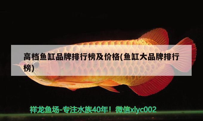 高檔魚缸品牌排行榜及價(jià)格(魚缸大品牌排行榜) BD魟魚