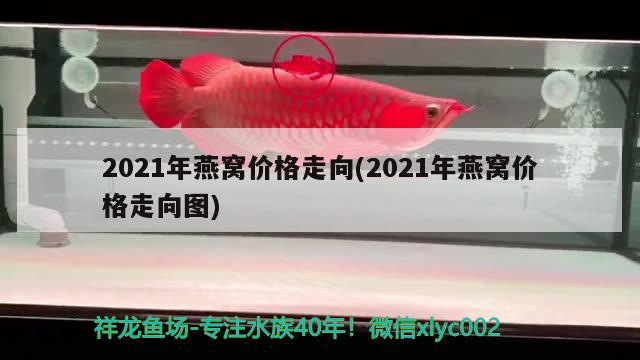 2021年燕窩價格走向(2021年燕窩價格走向圖)