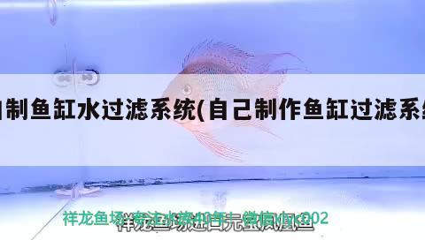 自制魚缸水過(guò)濾系統(tǒng)(自己制作魚缸過(guò)濾系統(tǒng)) 大嘴鯨魚