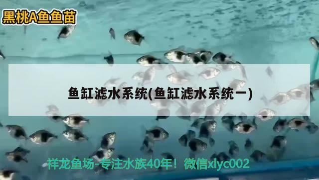 魚缸濾水系統(tǒng)(魚缸濾水系統(tǒng)一) 申古三間魚