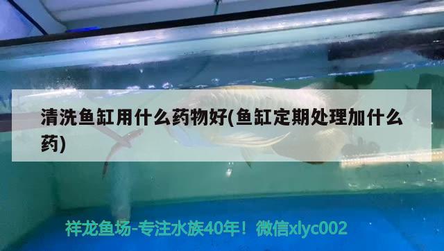 清洗魚缸用什么藥物好(魚缸定期處理加什么藥) 水族世界 第2張