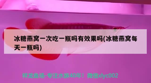 冰糖燕窩一次吃一瓶嗎有效果嗎(冰糖燕窩每天一瓶嗎) 馬來西亞燕窩