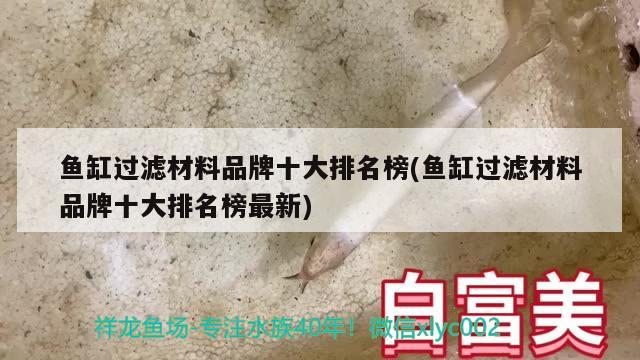 魚(yú)缸過(guò)濾材料品牌十大排名榜(魚(yú)缸過(guò)濾材料品牌十大排名榜最新)