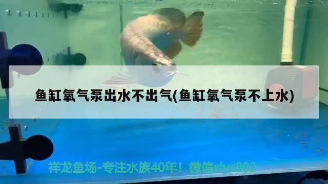 魚缸氧氣泵出水不出氣(魚缸氧氣泵不上水) 黑桃A魚