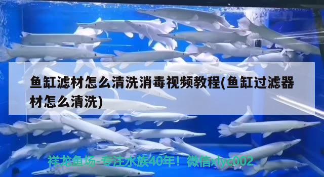 魚缸濾材怎么清洗消毒視頻教程(魚缸過濾器材怎么清洗) 福滿鉆魚