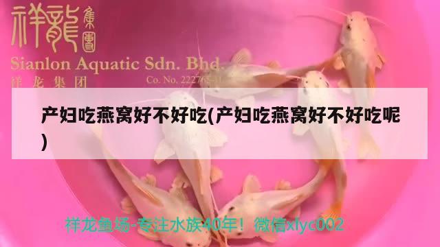 產(chǎn)婦吃燕窩好不好吃(產(chǎn)婦吃燕窩好不好吃呢) 馬來西亞燕窩