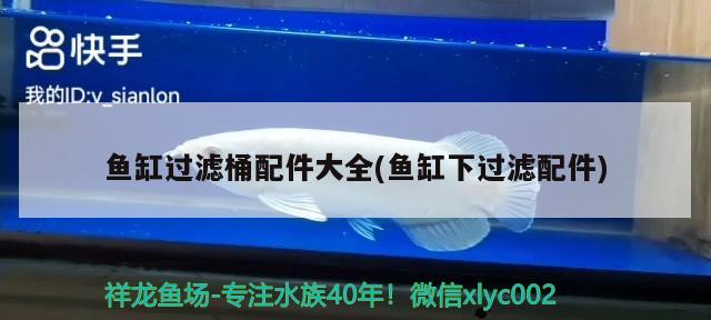 魚缸過濾桶配件大全(魚缸下過濾配件) 祥龍水族濾材/器材