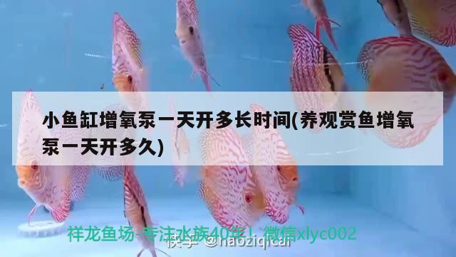 小魚(yú)缸增氧泵一天開(kāi)多長(zhǎng)時(shí)間(養(yǎng)觀賞魚(yú)增氧泵一天開(kāi)多久)