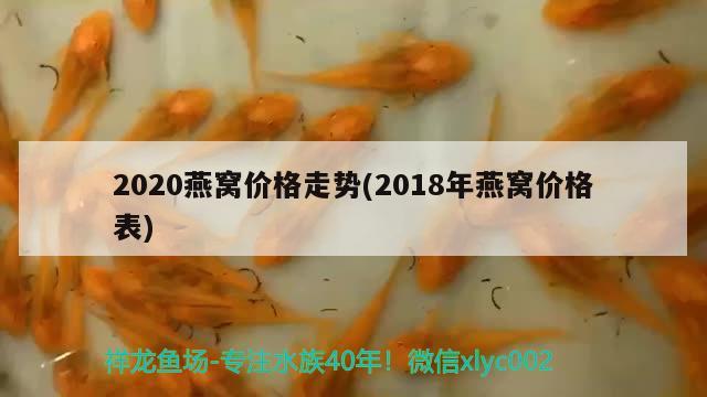 2020燕窩價格走勢(2018年燕窩價格表) 馬來西亞燕窩 第1張