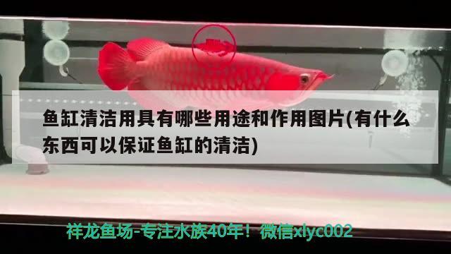 魚(yú)缸清潔用具有哪些用途和作用圖片(有什么東西可以保證魚(yú)缸的清潔) 魚(yú)糧魚(yú)藥 第2張