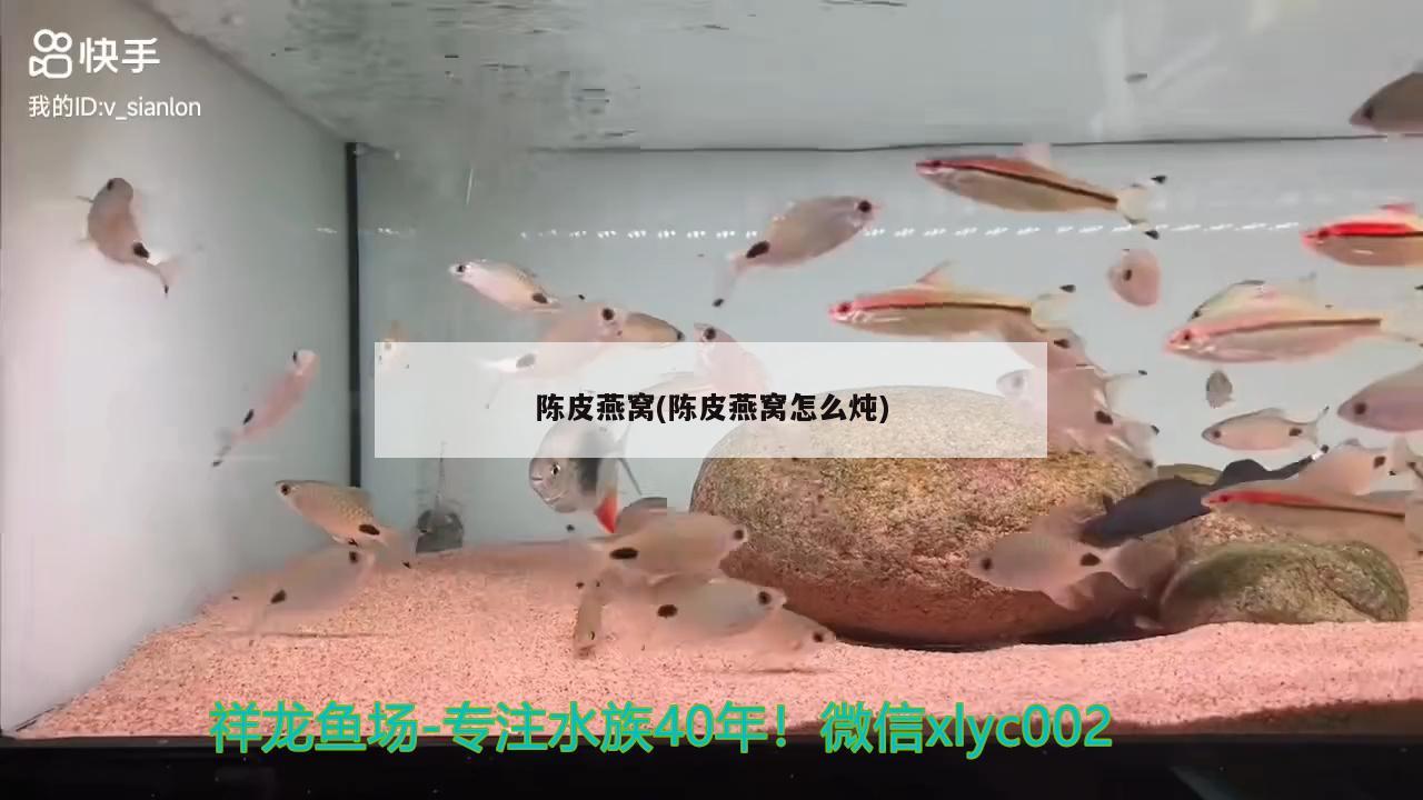 陳皮燕窩(陳皮燕窩怎么燉)