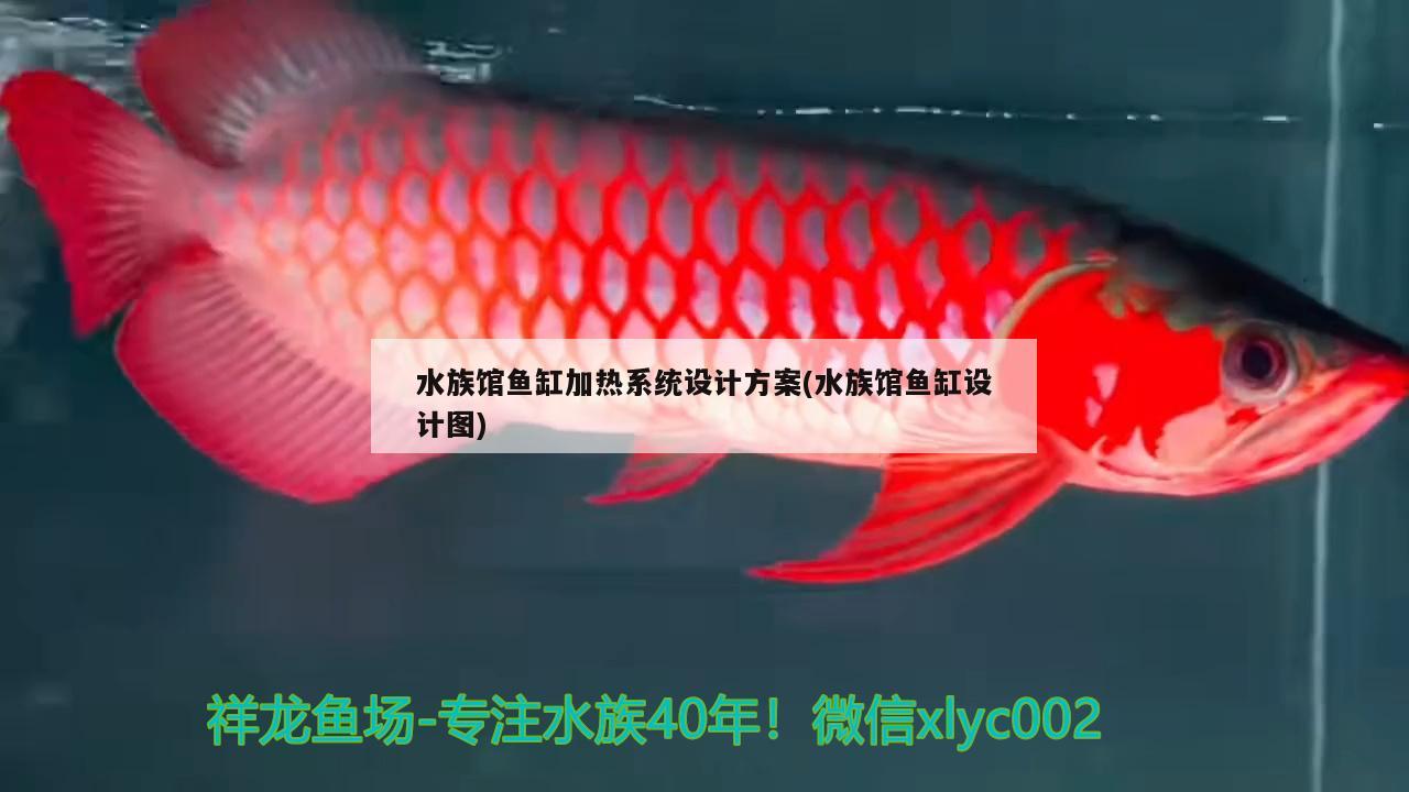 水族館魚缸加熱系統(tǒng)設(shè)計(jì)方案(水族館魚缸設(shè)計(jì)圖) 銀龍魚苗