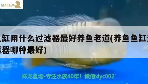 魚缸用什么過濾器最好養(yǎng)魚老道(養(yǎng)魚魚缸過濾器哪種最好) 大湖紅龍魚 第3張