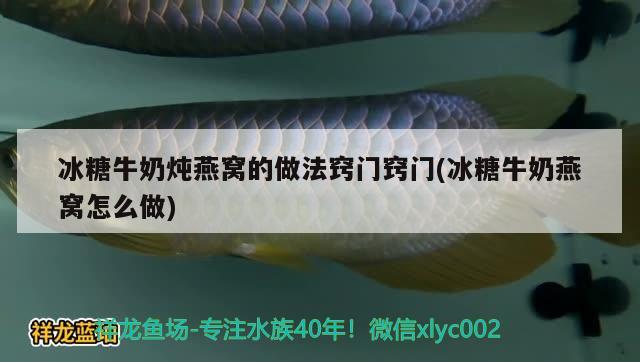 冰糖牛奶燉燕窩的做法竅門竅門(冰糖牛奶燕窩怎么做) 馬來西亞燕窩