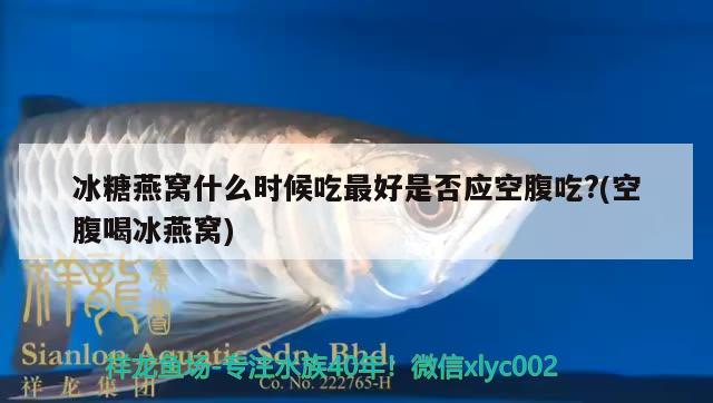 冰糖燕窩什么時候吃最好是否應(yīng)空腹吃?(空腹喝冰燕窩) 馬來西亞燕窩