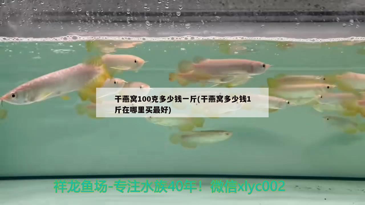 干燕窩100克多少錢一斤(干燕窩多少錢1斤在哪里買最好) 馬來(lái)西亞燕窩