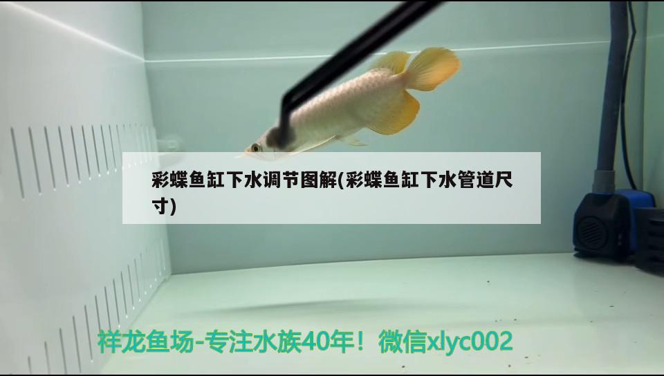 彩蝶魚缸下水調(diào)節(jié)圖解(彩蝶魚缸下水管道尺寸) 高背金龍魚