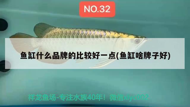 魚缸什么品牌的比較好一點(diǎn)(魚缸啥牌子好) 吉羅魚批發(fā)