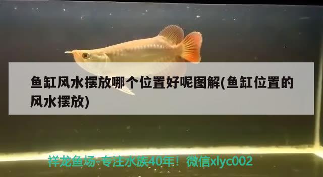 魚缸風(fēng)水?dāng)[放哪個位置好呢圖解(魚缸位置的風(fēng)水?dāng)[放) 魚缸風(fēng)水