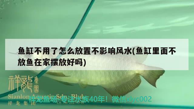 魚缸不用了怎么放置不影響風水(魚缸里面不放魚在家擺放好嗎) 魚缸風水