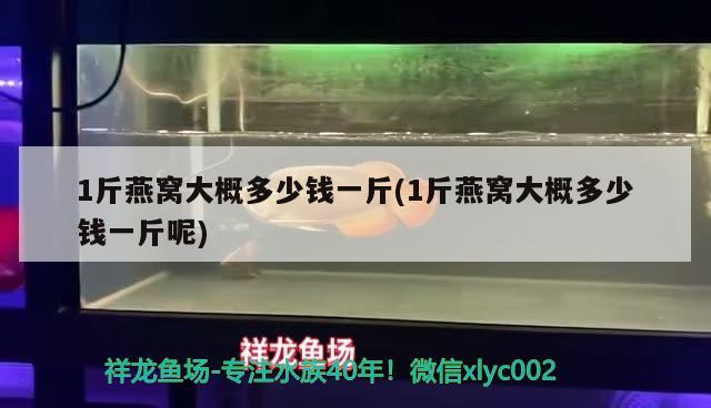 1斤燕窩大概多少錢一斤(1斤燕窩大概多少錢一斤呢)