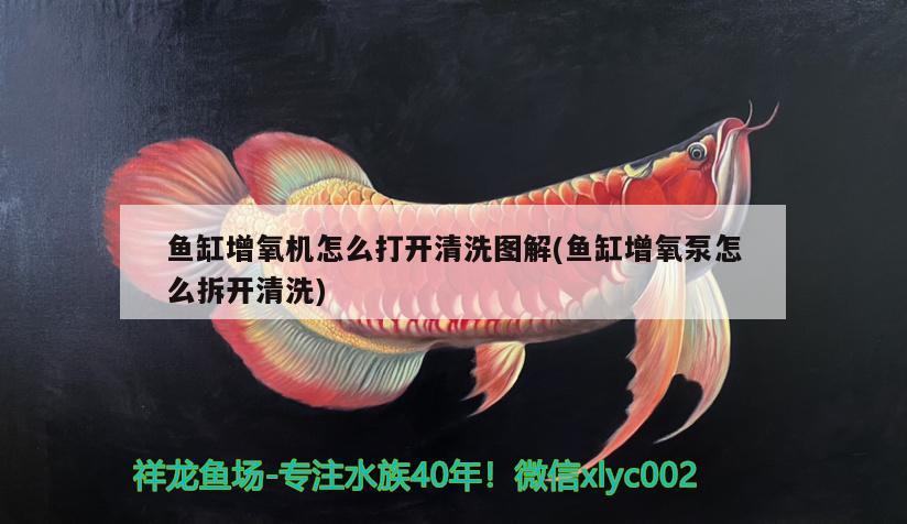 魚缸增氧機怎么打開清洗圖解(魚缸增氧泵怎么拆開清洗) 大湖紅龍魚