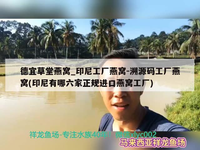 德宜草堂燕窩_印尼工廠燕窩-溯源碼工廠燕窩(印尼有哪六家正規(guī)進口燕窩工廠) 馬來西亞燕窩