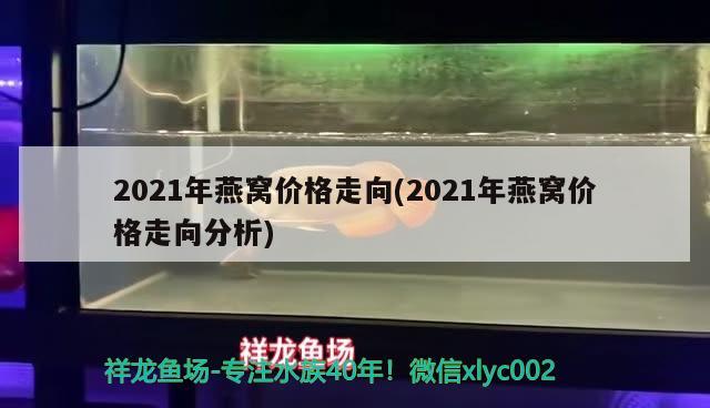 2021年燕窩價格走向(2021年燕窩價格走向分析)