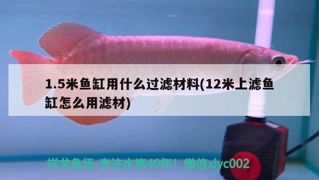 1.5米魚缸用什么過濾材料(12米上濾魚缸怎么用濾材) 招財戰(zhàn)船魚