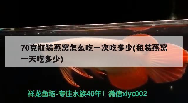 70克瓶裝燕窩怎么吃一次吃多少(瓶裝燕窩一天吃多少)