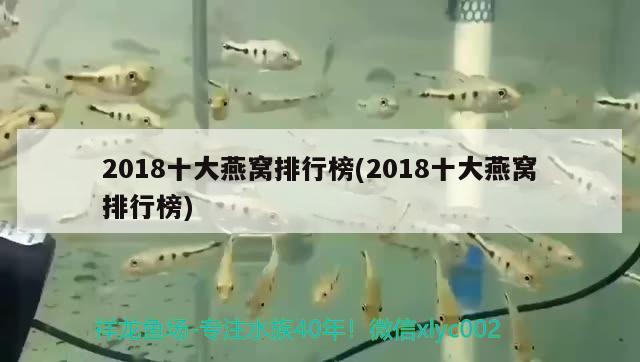 2018十大燕窩排行榜(2018十大燕窩排行榜)