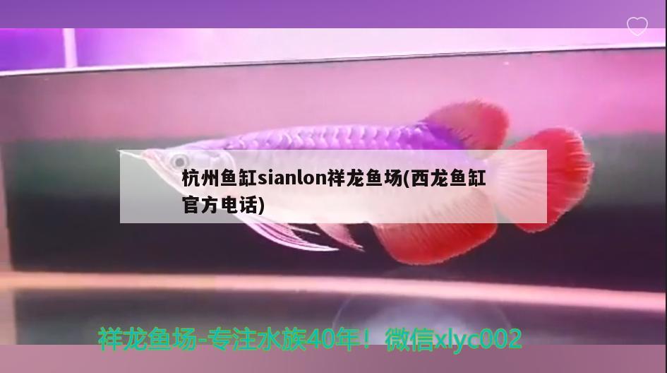 杭州魚缸sianlon祥龍魚場(西龍魚缸官方電話)