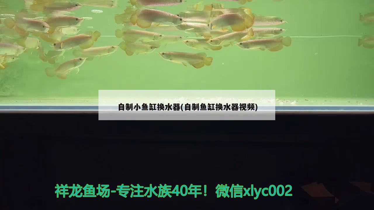 自制小魚缸換水器(自制魚缸換水器視頻) 白子銀龍魚苗