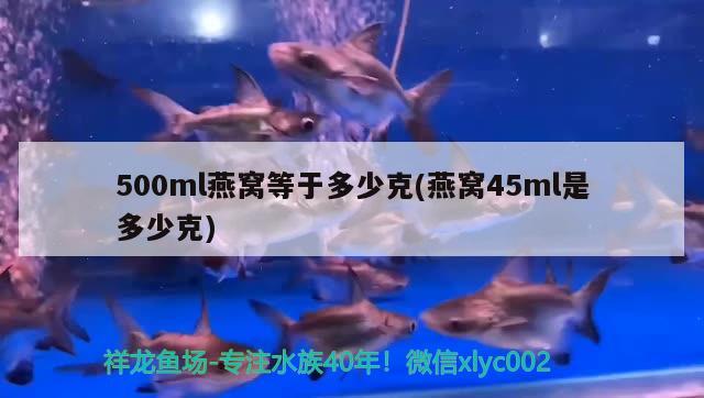 500ml燕窩等于多少克(燕窩45ml是多少克)