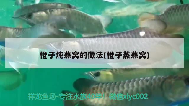 橙子燉燕窩的做法(橙子蒸燕窩)