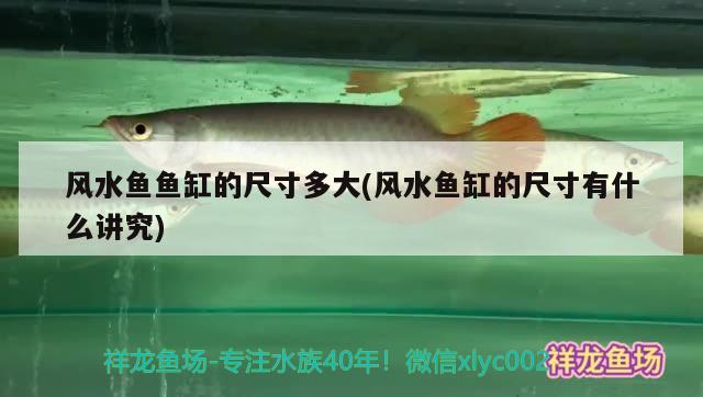 風水魚魚缸的尺寸多大(風水魚缸的尺寸有什么講究)