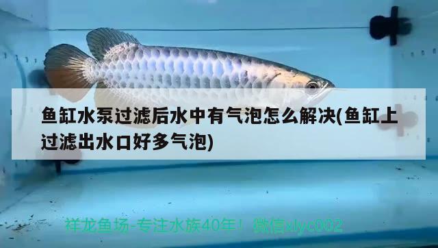 魚缸水泵過濾后水中有氣泡怎么解決(魚缸上過濾出水口好多氣泡)