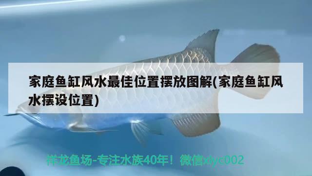 家庭魚缸風(fēng)水最佳位置擺放圖解(家庭魚缸風(fēng)水?dāng)[設(shè)位置) 魚缸風(fēng)水