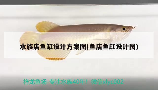 水族店魚缸設(shè)計方案圖(魚店魚缸設(shè)計圖) 印尼四紋虎