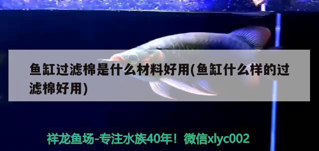 魚(yú)缸過(guò)濾棉是什么材料好用(魚(yú)缸什么樣的過(guò)濾棉好用)