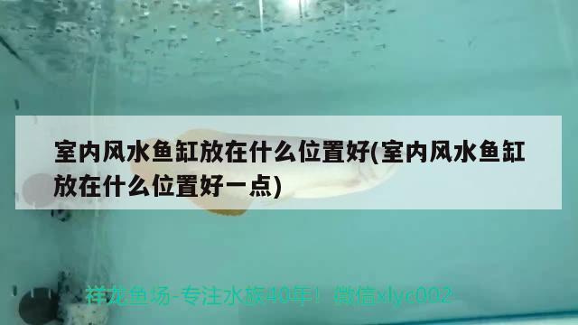 室內(nèi)風(fēng)水魚缸放在什么位置好(室內(nèi)風(fēng)水魚缸放在什么位置好一點(diǎn)) 魚缸風(fēng)水