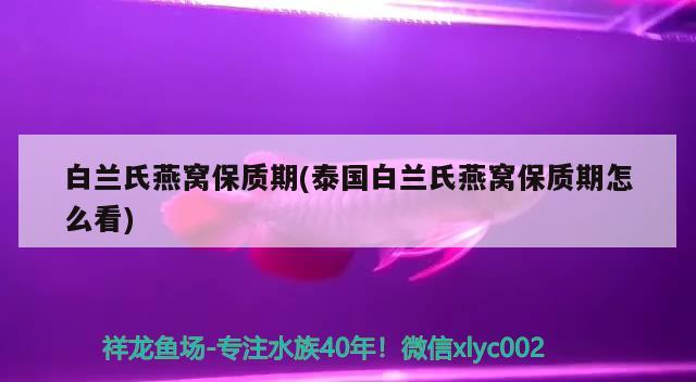 白蘭氏燕窩保質(zhì)期(泰國白蘭氏燕窩保質(zhì)期怎么看) 馬來西亞燕窩