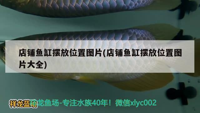 店鋪魚(yú)缸擺放位置圖片(店鋪魚(yú)缸擺放位置圖片大全) 虎魚(yú)魚(yú)苗