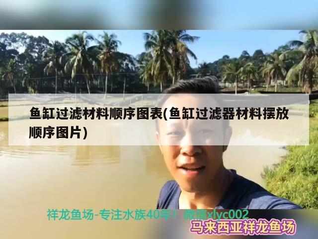 魚缸過濾材料順序圖表(魚缸過濾器材料擺放順序圖片)